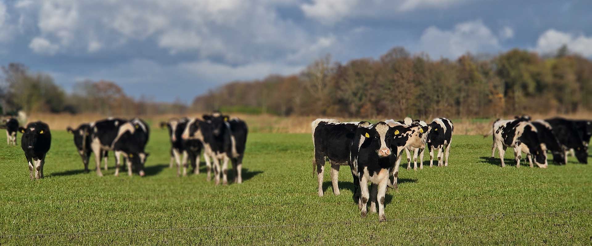 Uitzicht-Dagbesteding-T-Beekdal-Beverdijcken